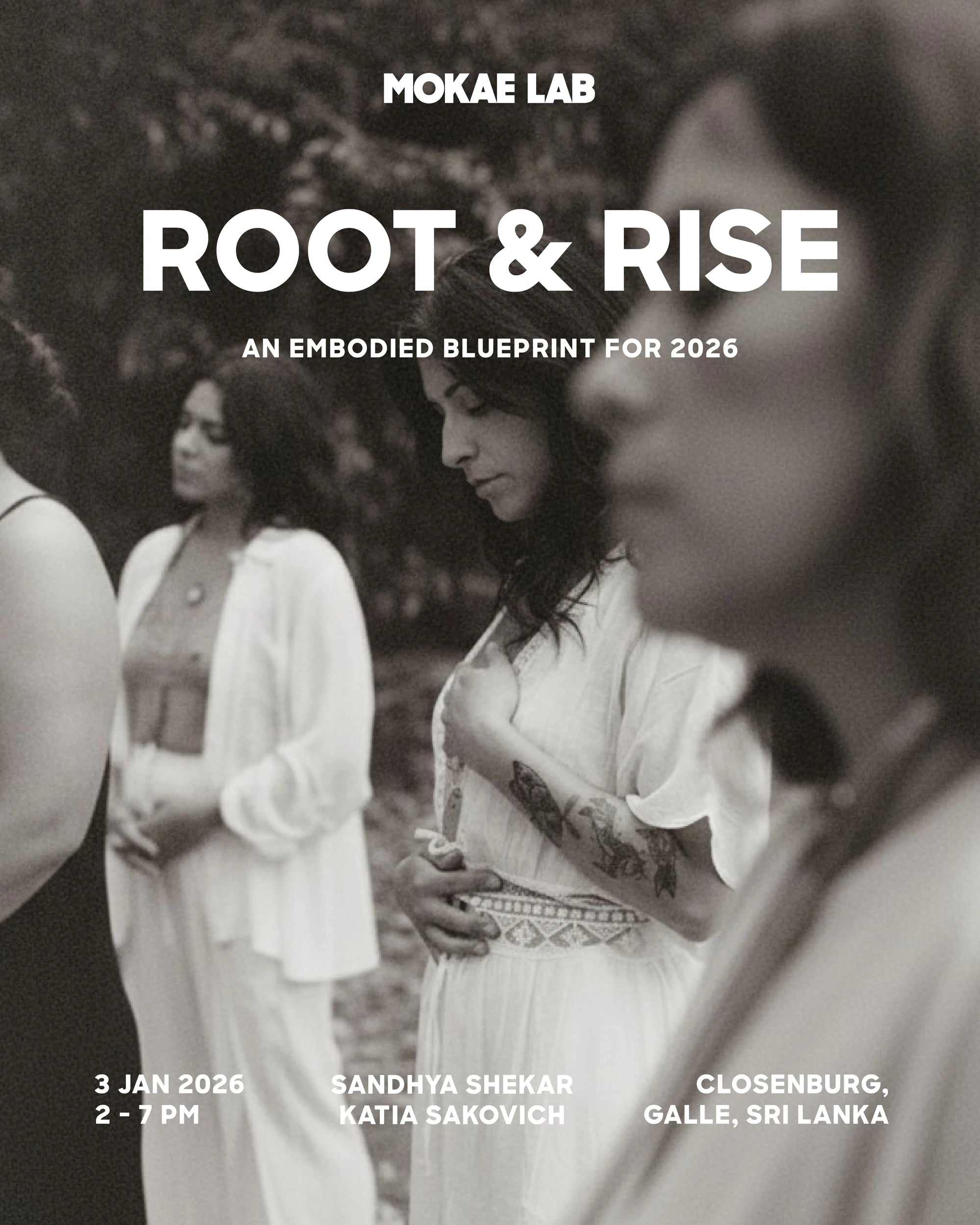 Root & Rise